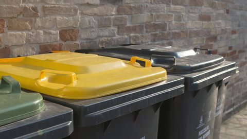 Children drops the trash recycling bin. 
