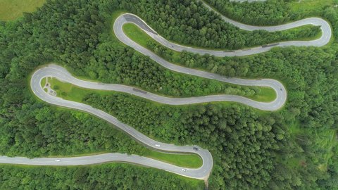 AERIAL, TOP DOWN: Motorcycles and cars driving on zig zag winding road through lush dense spruce forest on mountain slope. Curvy switchback highway with hairpin turns snaking through the woods