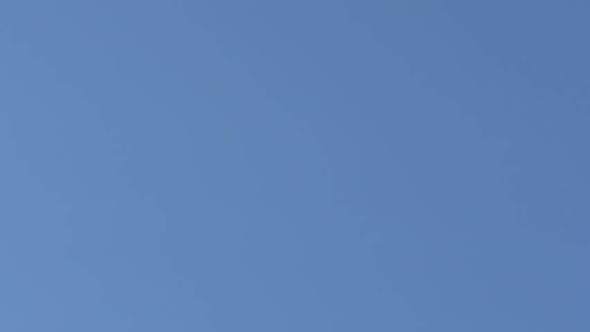 Mother, father and little son leisures together outdoor. Happy family walking on summer meadow, slow motion.