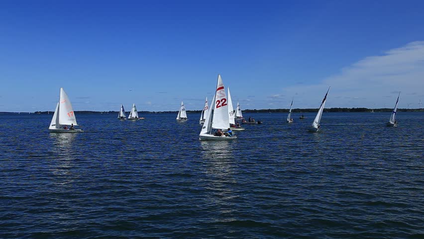 Many small boats tack back and forth on an open body of water as students from a sailing school run drills. - Powered by Shutterstock - Get 15% off with code: PIKWIZARD15