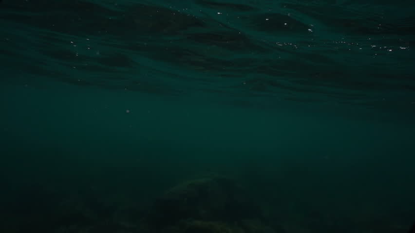 Waves on the ocean. The camera goes under water. Video recorded in slow motion.  Royalty-Free Stock Footage #31583947