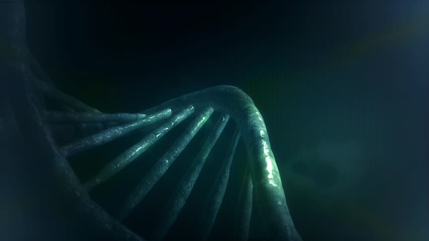 DNA loop 3D animation