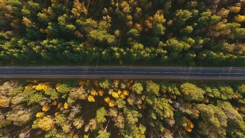 Aerial Flight over the road between fields. Autumn colors. Aerial of green countryside and car driving through. Flying behind and beside a white car driving though green nature with sun shining