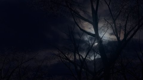 Forest and moon at night. Moving through a spooky forest as an eerie moon rises through fast moving clouds.4K