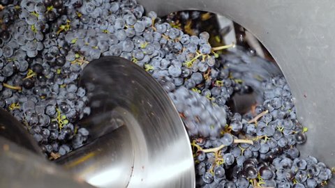squeeze the grape with the press:making wine - slow motion