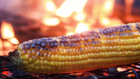 Close up delicious BBQ Mexican corn on cob grilling over glowing coals. Barbecued roasted on the hot stove fresh tasty sweet corn. Ready to Eat. Street food appetizing grilled corn on the bbq grill.
