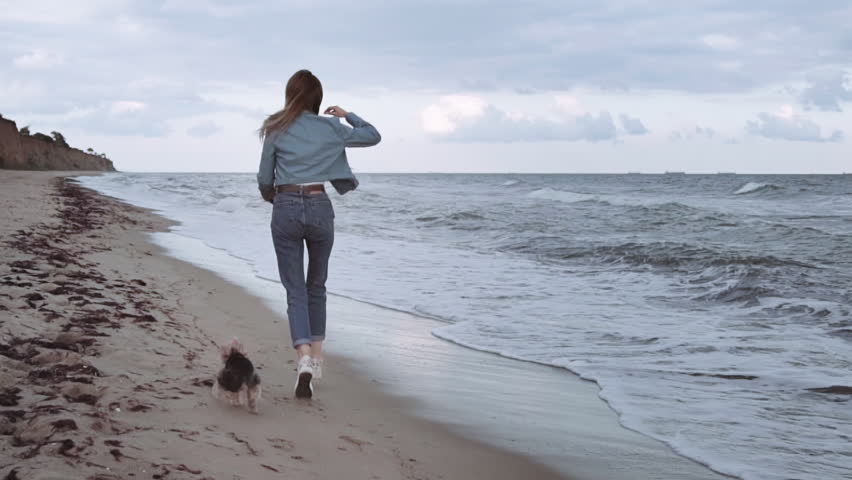 A beautiful, happy girl runs along the ocean with a little dog. on a warm autumn day. The plan from the back
