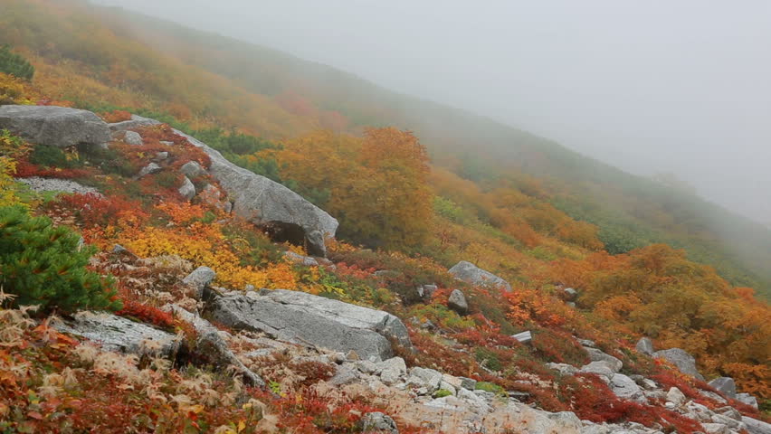 Autumn Landscape. Foggy weather in the mountains.  