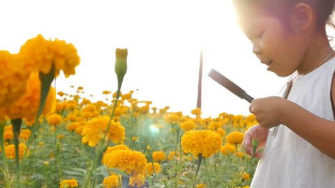 Close-up beauty girl using magnifying glass in gold floral field. Concept of self learning trips lifestyle in springtime. 