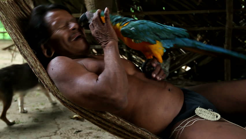 Huaorani hunter grooming his ara parrot, Yasuni huaorani reserve, Ecuador