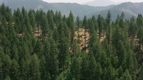 California circa-2017, Aerial of forest in Northern California. Shot with Cineflex and RED Epic-W Helium.