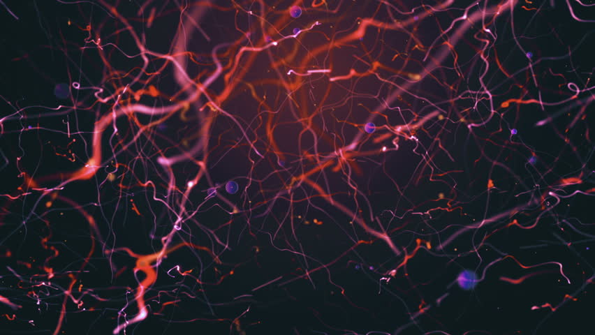 Blood Veins and Cells Animation. Stock Footage Video (100% Royalty-free) 31648699 | Shutterstock