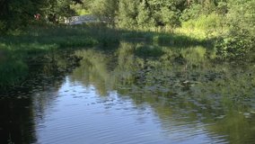 Beautiful pond in Ostafievo estate, Podolsk region, Russia