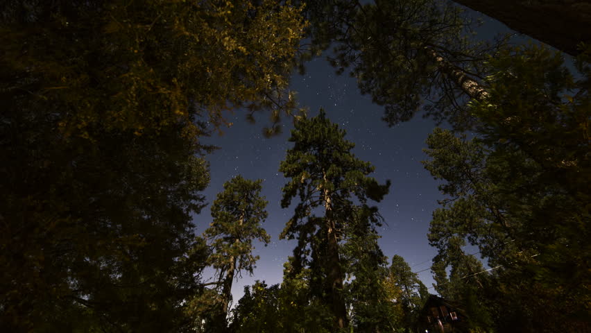 A 4k time lapse of stars passing by above pine trees in Idyllwild, California.
