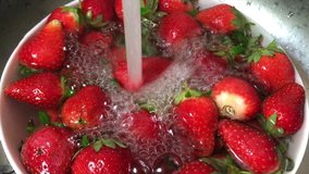 Red strawberry lot, berry fruit, sweet ripe, healthy. Fresh, ripe, juicy strawberries clockwise rotation. Summer food, tasty, juicy, vitamin, freshness delicious organic. Authentic circle rotate video