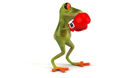 Fun frog with boxing gloves