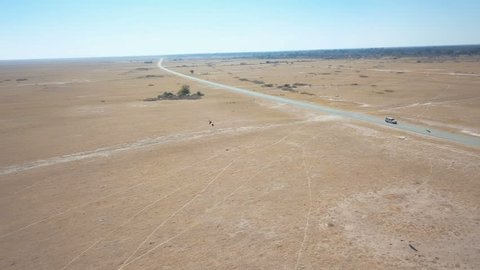 Aerial shot following vulture in the sky as it passes road in the desert with lone car passing by