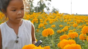 Close-up beauty girl using magnifying glass in gold floral field. Concept of self learning trips lifestyle in springtime. Slowmotion video footage full HD 1920x1080. High speed camera shot 50 fps.