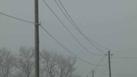 Freezing rain and ice storm with high wind during cold winter