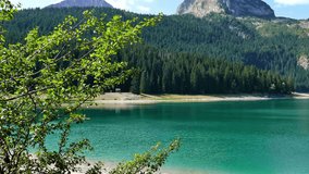 Beautiful lake and pine forest, Beautiful Lake in the Mountain Area, 4 K Video Clip