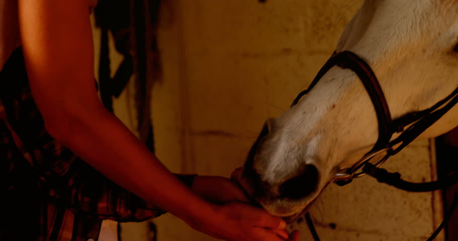 Mother and daughter feeding a horse in the stable 4k