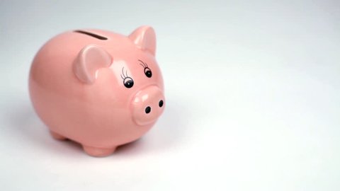 piggy bank and savings