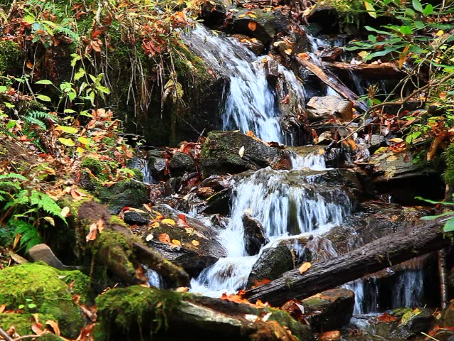 Small waterfall in NC, part of Rufus Morgan Falls