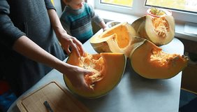 Video woman and a child are cleaning a big pumpkin on the kitchen table