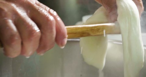 A homemade cheese producer, produces handmade mozzarella with fresh quality milk from her cows sheep in the morning. Concept of: tradition, italy, mozzarella.