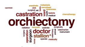 Orchiectomy animated word cloud, text design animation. - Powered by Shutterstock - Get 15% off with code: PIKWIZARD15