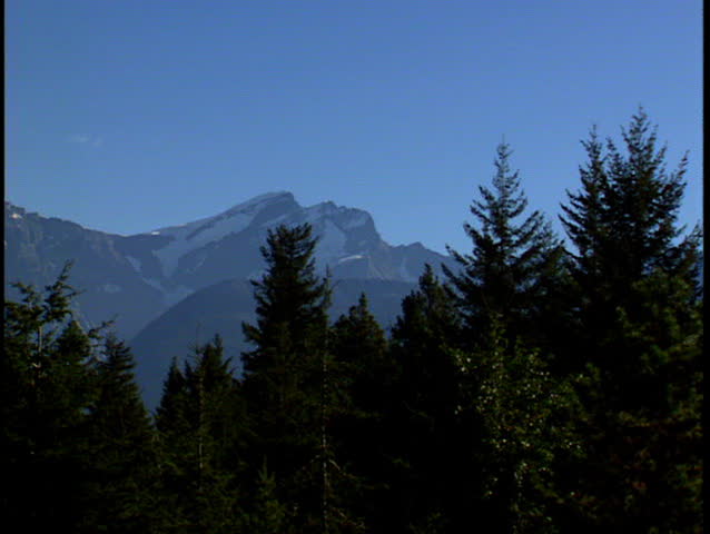 Pan over trees to reveal beautiful Mount Robson in the Canadian Rockies