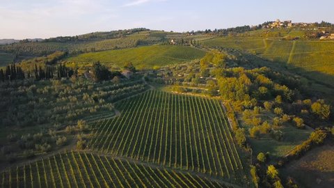 Aerial nature landscape beautiful hills forests fields and vineyards of Tuscany, Italy