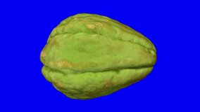Realistic render of a rotating chayote on blue background. The video is seamlessly looping, and the 3D object is scanned from a real chayote.
