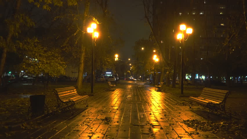 Night Walk Autumn City Park