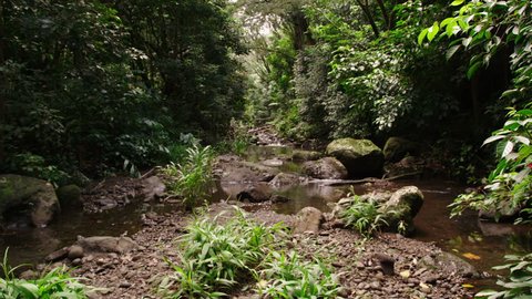 Looking upstream from the middle of a small, rocky riverbed flanked by lush, rainforest vegetation, lock off for plate.
