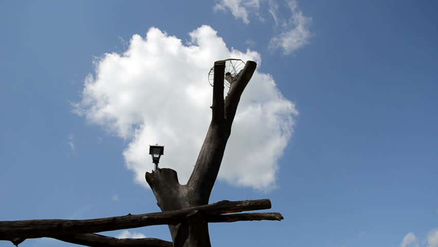 old tree trunk in background of blue cloudy sky and wooden log park gate.