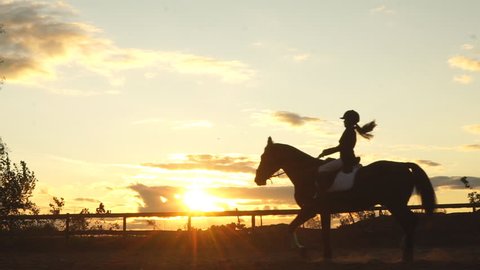 Horse rider at sunset. Young jockey brave girl riding horse jumping