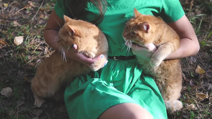 Young girl holding two cats