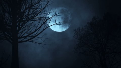 Seamless loop time lapse of moon night sky. spooky trees silhouette. darkness. scary sky. clouds moving