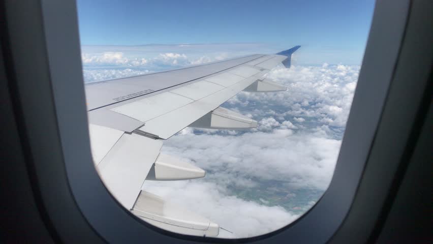 Aircraft Wings View