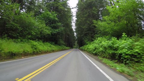 Driving Down Road In Coastal Range Of Oregon, USA