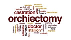 Orchiectomy animated word cloud, text design animation. - Powered by Shutterstock - Get 15% off with code: PIKWIZARD15