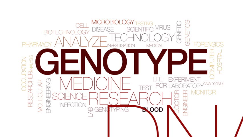 genotype-footage-page-2-stock-clips