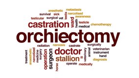 Orchiectomy animated word cloud, text design animation. - Powered by Shutterstock - Get 15% off with code: PIKWIZARD15