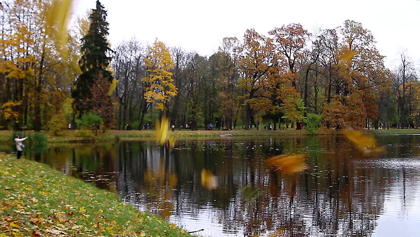 Autumn park, lake and falling yellow leaves close-up