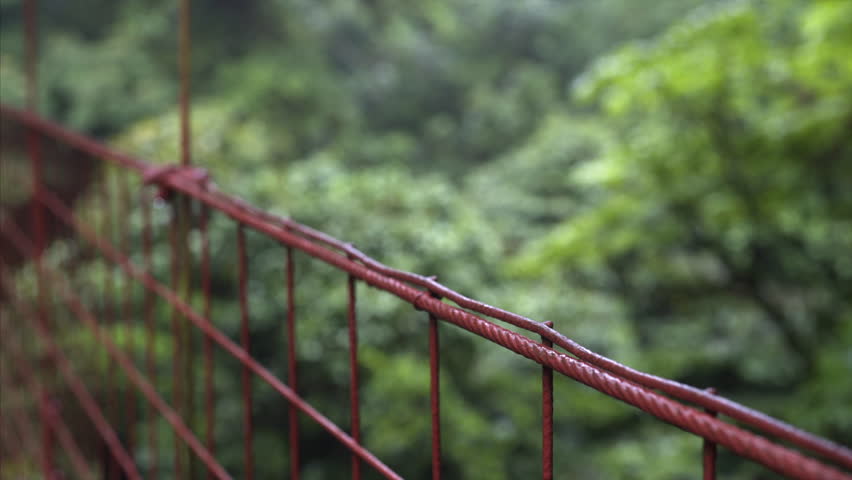 Young girl with backpack walking on hanging bridge through rain forest, clouseup hands on bridge rail, national park Monteverde, Costa Rica