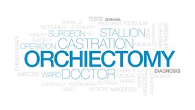 Orchiectomy animated word cloud, text design animation. Kinetic typography. - Powered by Shutterstock - Get 15% off with code: PIKWIZARD15