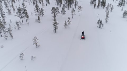 AERIAL CLOSE UP: People driving snowmobile on beautiful white snowy mountain slope exploring Lapland, Finland. Tourists on snowmobile adventure ride in spruce woods. Snowmobiling on winter vacations