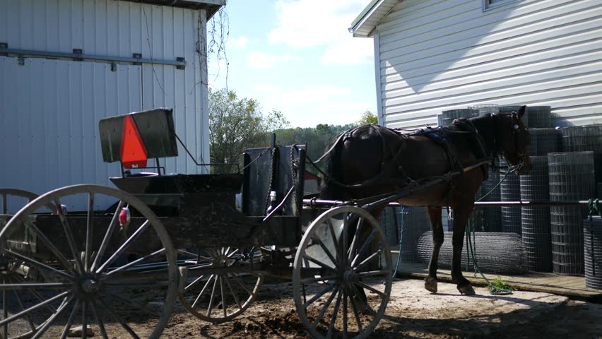 A black horse tied up to a wooden fence near an Amish farm - ALT Angle