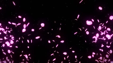 Cherry Blossom Petals Falling On の動画素材 ロイヤリティフリー Shutterstock